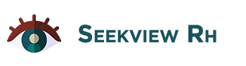 logo-seekviewRH-last.png